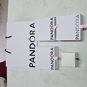 Empty Pandora Boxes and Bag